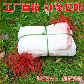 10-30目稻谷 精選顆粒，優(yōu)質(zhì)糧源的多維解析